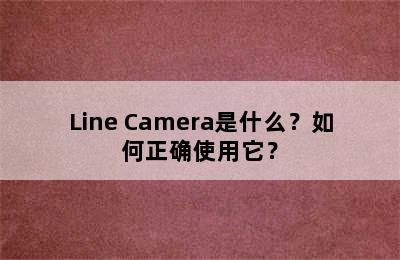 Line Camera是什么？如何正确使用它？